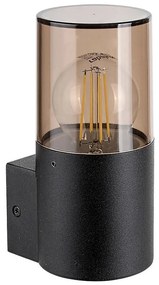 Rabalux 7158 - Kültéri fali lámpa TEPLICE 1xE27/12W/230V IP44