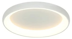 ZAMBELIS-2041 Fehér Színű Mennyezeti Lámpa LED 30W IP20