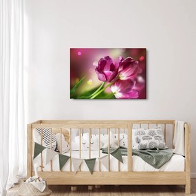 Rózsaszín tulipánok képe (90x60 cm)