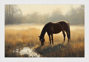 Poszter Keret Fa Tájkép Szabadtéri Rét Ló Gesztenye Reggel Köd 60x40