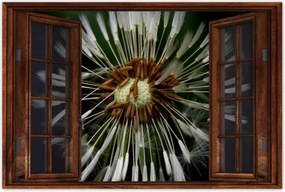 Poszterek 120x80 Pitypang Virág Virágok