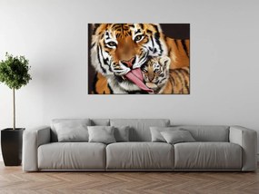 Gario Vászonkép Tigris és kis tigris Méret: 30 x 20 cm