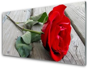 Akrilkép rózsa virágok 140x70 cm