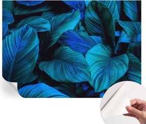 Dekoratív Öntapadós Tapéta Divatos Minták Kék levelek 208x146 cm
