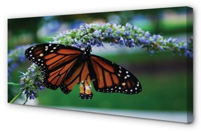 Canvas képek Pillangó a virágon 125x50 cm
