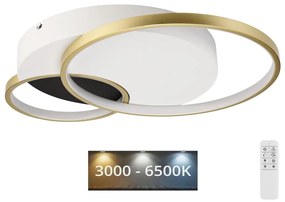 Dimmelhető mennyezeti lámpa BENITO LED/31W/230V 3000-6500K fehér/arany