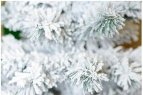 Karácsonyfa tönkön - Hegyi Lucfenyő 120cm Snowy