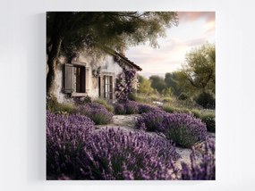 Vászonkép Canvas Tájkép Franciaország Provence Ház Kunyhó Levendula 40x40