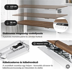 Elektromos, állítható magasságú, ergonomikus, fehér/dió íróasztal,1600x800 mm: ARIA