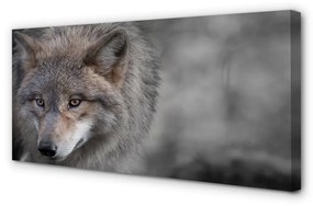Canvas képek Farkas 125x50 cm
