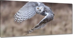 Vászonkép 180x90 Madarak