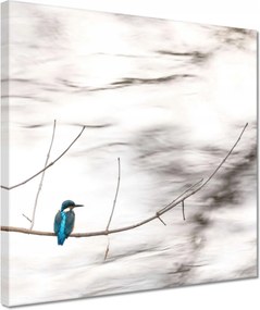 Vászonkép 30x30 Madarak