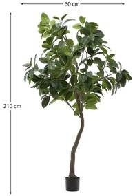 Fikusz műnövény (magasság 210 cm) Ficus – Kave Home