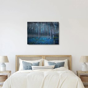Kép - varázslatos erdő (üvegen) (70x50 cm)