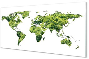 Akrilkép Térkép a zöld fű 100x50 cm