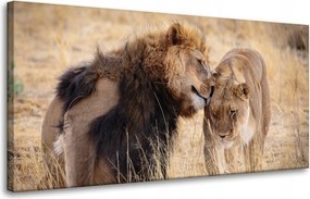 Vászonkép Oroszlánpár Szerelem szavanna Természet 80x40 cm