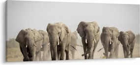 Kép - Elefántcsorda (120x50 cm)