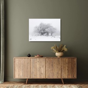 Kép - fehér tél (üvegen) (70x50 cm)