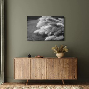 Kép - nyúlfarknyi fű az asztalon (90x60 cm)