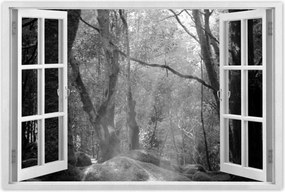 Poszterek 120x80 Rejtélyes erdő Sugárzás