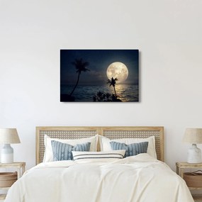 Kép - Strand teliholddal (90x60 cm)