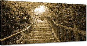 Vászonkép 60x30 Lépcsők szépia színben