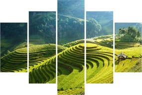 Kép - Rice Terraces koncert (150x105 cm)