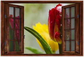 Poszterek 90x60 Tulipánok Virágok