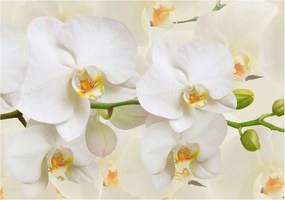 Flizelin fotótapéta Flizelin Design Virágos gazdagság 312x219