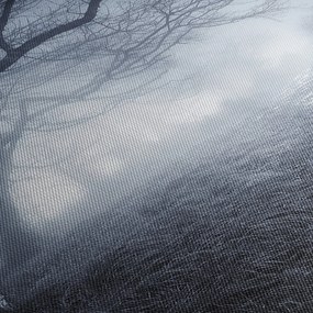 Kép - Út a ködben (120x50 cm)