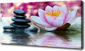 Canvas falikép Vízi liliom 100x70 cm
