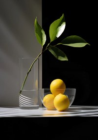 Poszter 70x100cm Citrusos elrendezés