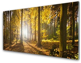 Üvegkép Forest elhagyja Plant 120x60cm 2 fogas