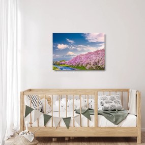 Kép - Japán tavaszi táj (üvegen) (70x50 cm)