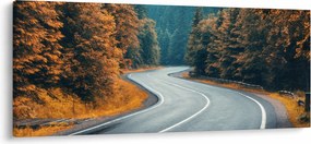 Kép - Kanyargós út (120x50 cm)