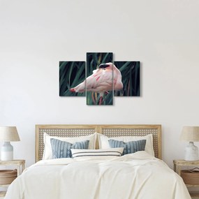 Kép - Flamingó (90x60 cm)