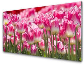Modern üvegkép Tulipán virágok természet 100x50 cm