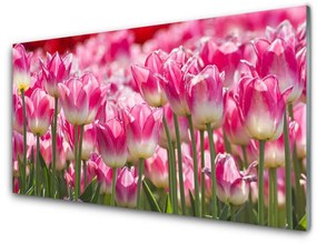 Modern üvegkép Tulipán virágok természet 120x60cm 2 fogas