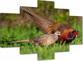 Festmények 150x105 Fácán család Madarak