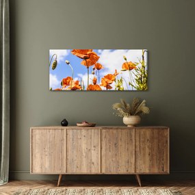 Pipacsok képe (120x50 cm)