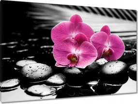 Vászonkép 120x80 Lila leander