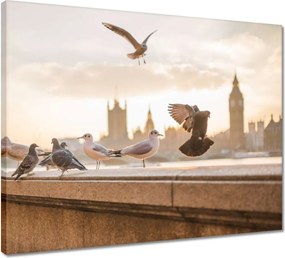 Vászonkép 50x40 Mozgás a Big Bennél