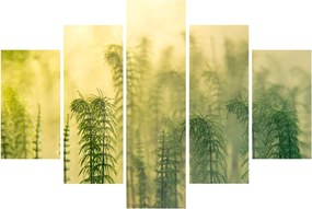 Kép - Részlet a tavaszi ködös természetből (150x105 cm)