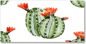 Fotótapéta falra edzett üveg Kaktuszok 140x70