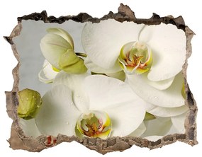 3d-s lyukat fali matrica Fehér orchidea nd-k-67521473