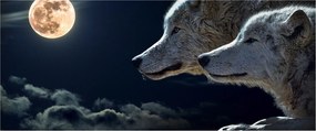 Farkas üvöltés a holdra képe (120x50 cm)