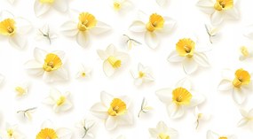 Húsvéti szövet méteráru Asztalterítők Nárciszok