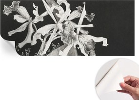 Öntapadós fali fotótapéta Hálószoba Orchidea illusztráció 250x104