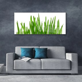 Akrilkép Grass A Wall 100x50 cm