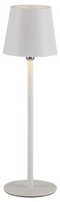 Paul Neuhaus BOTERIA 19251-16 Asztali lámpa 1x2,5W/LED 3000K 220lm IP20